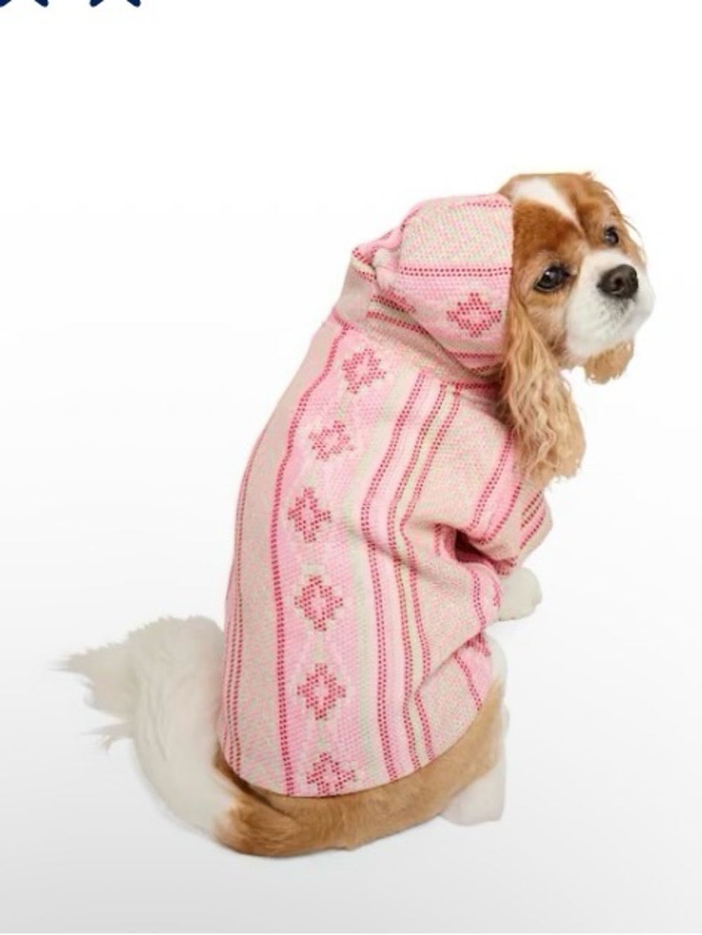 Youly the happy go lucky pet hoodie